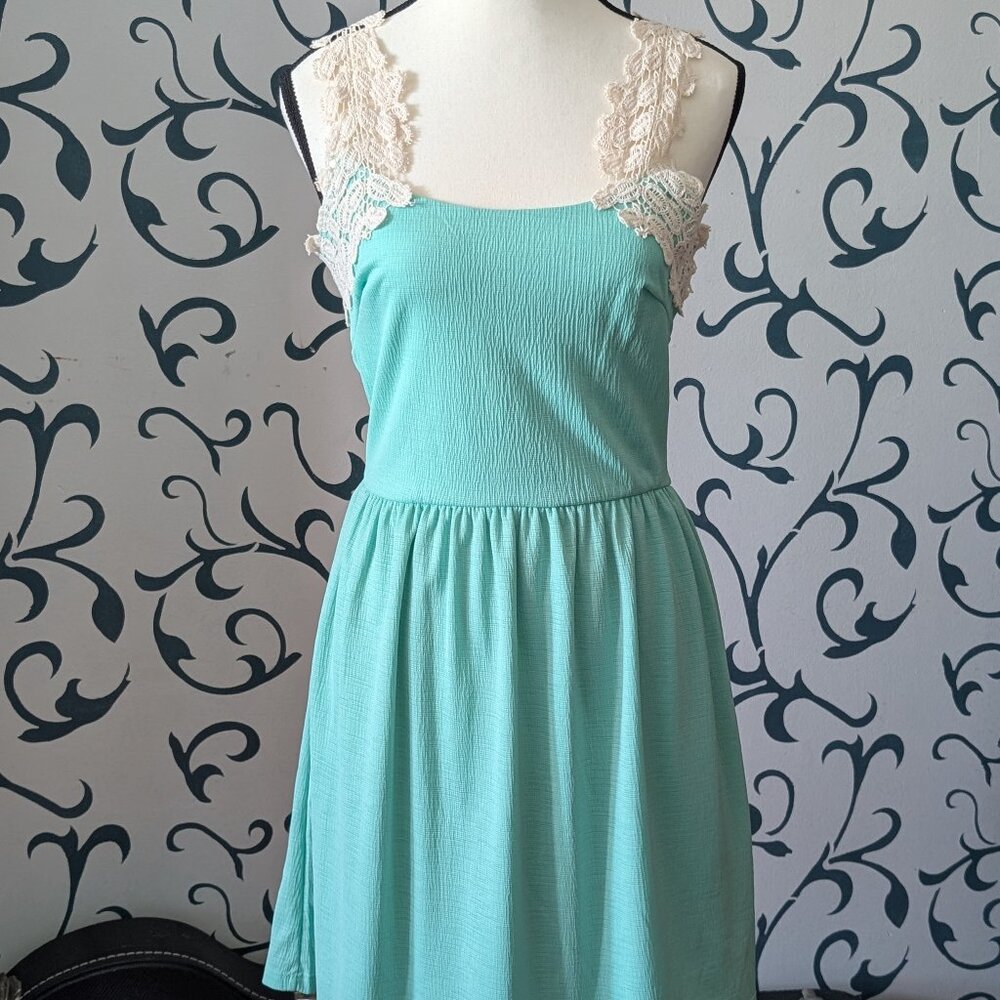 NWT Francesca’s Alna Be Mint Green Sleeveless Skater Dress